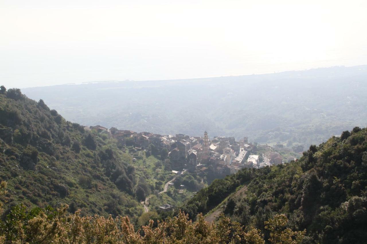 Rustica Daire Prunete Dış mekan fotoğraf