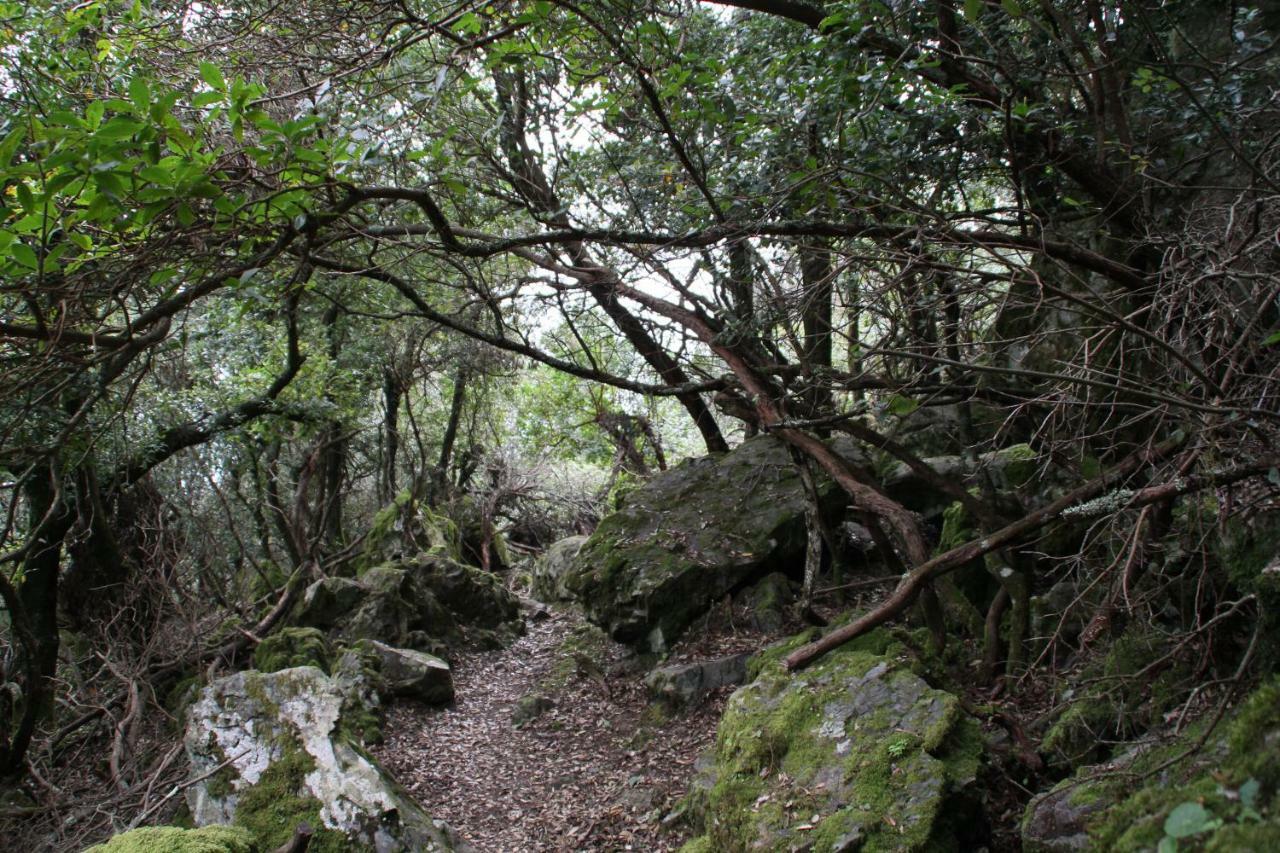 Rustica Daire Prunete Dış mekan fotoğraf